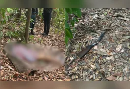 Esposo de 77 anos confundiu a mulher com um animal silvestre durante deslocamento para pescaria na comunidade PA Cristo Rei.