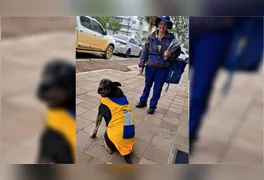 O cão Duque caminha lado a lado com a servidora Marlene Trevizan durante o trajeto diário de entregas em Paraí, no interior gaúcho.