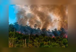 Fumaça encobre vegetação na Terra Indígena Apyterewa, no sul do Pará, onde queimadas ameaçam áreas de floresta densa e aldeias do povo Parakanã.