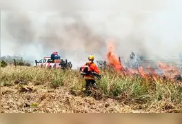Área de vegetação na Terra Indígena Mãe Maria após ser consumida pelas chamas em Bom Jesus do Tocantins, no sudeste paraense