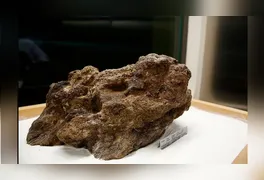 Encontrada em 13 de setembro de 1983 no garimpo de Serra Pelada (PA), a Pepita Canaã pesa 60,8 kg e é o maior exemplar de ouro preservado no mundo.