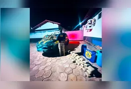 Agentes da PRF contabilizam 119 tabletes de skunk apreendidos dentro de tambores em caminhonete na BR-230, em Novo Repartimento (PA)