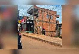 A operação mobilizou cerca de dez profissionais, incluindo bombeiros militares e técnicos da rede elétrica.