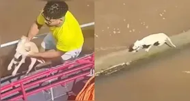 Fabio, pescador de Abaetetuba, registrou o momento