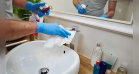 Ingredientes encontrados facilmente em mercados podem ser usados para perfumar o espaço, reduzir odores indesejados e prolongar a sensação de frescor