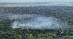 Os resultados reforçam a preocupação com os impactos das atividades humanas
