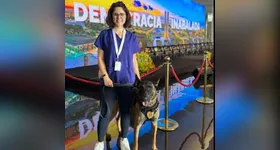 Veterinária sofre ataque de cão do Senado e é hospitalizada em estado grave. Incidente gera investigação e debate sobre cinotecnia e segurança.
