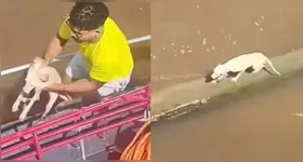 Fabio, pescador de Abaetetuba, registrou o momento