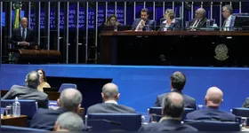 Agora, o texto está em análise no plenário