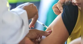 Neste sábado (22/08), acontece o Dia D da Campanha de Multivacinação no Brasil. Vacinação disponível para crianças e adolescentes até 15 anos.