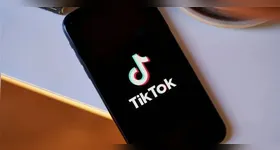 TikTok quer oferecer serviços financeiros aos brasileiros