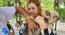 A imunização será destinada a cães e gatos que estejam saudáveis e aptos a receber a vacina