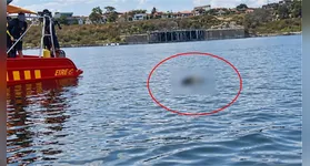 Mergulhadores do Corpo de Bombeiros e voluntários durante a força-tarefa de buscas nas águas do Lago de Tucuruí, no Pará.