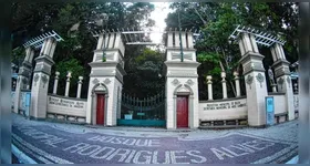 Bosque Rodrigues Alves será palco de um acampamento para crianças e famílias.