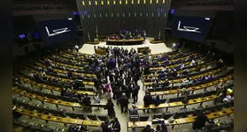 Os parlamentares representarão os estados e o Distrito Federal na 58ª legislatura, de 1º de fevereiro de 2027 a 31 de janeiro de 2031.