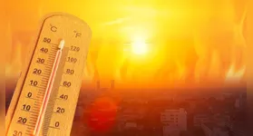 Relatório do Pnuma destaca que corte de emissões e remoção de carbono podem devolver temperaturas a limites seguros.