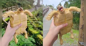 Pongpong vive em Taiwan e chama atenção nas redes pelas expressões que parecem um sorriso