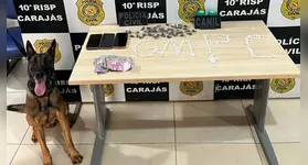 Ação conjunta entre a Guarda Municipal e a Polícia Civil no bairro Vila Canaã resultou no recolhimento de crack, maconha e dinheiro em espécie.