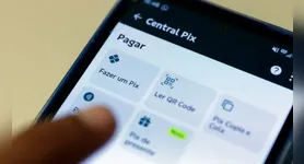 Após conferir o valor disponível, o usuário deve escolher a forma de resgate e pode receber via Pix em até 12 dias úteis.