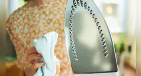 Antes de aplicar qualquer produto é importante verificar as instruções do fabricante, já que alguns aparelhos podem ter orientações específicas para a higienização.