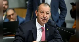Senador diz que mudança exigirá “reorganização produtiva” por parte das empresas.