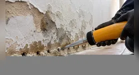 Entre os problemas mais comuns com a umidade estão as manchas escuras, o surgimento de bolor e o desprendimento da pintura e do revestimento.