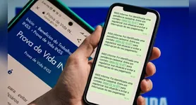 INSS pode mandar mensagem para beneficiários cuja comprovação não tenha sido identificada automaticamente, mas o aviso apenas informa sobre a necessidade e não solicita dados pessoais.