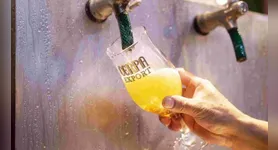 Cerpa entra com pedido de Recuperação Judicial