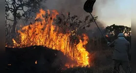 Imagem ilustrativa da notícia Muaná decreta emergência por avanço de incêndios e seca no Marajó