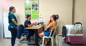 Trabalho da UVZ reúne medidas voltadas tanto à saúde animal quanto à prevenção de problemas que podem afetar diretamente a população de Belém.