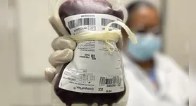 Ministério também estabeleceu regras para o tratamento com o medicamento.