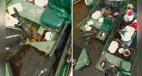 Cobra já havia passado por baixo das embarcações que estavam no rio, antes de entrar no barco.