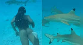 A esposa do surfista não teve medo e fez o mergulho junto com os tubarões