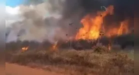 O incêndio começou pela vegetação da área e quase alcançou residências