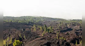 O fenômeno tem causado mudanças climáticas no Brasil