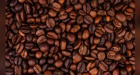 Estudo finlandês encontrou associação entre maior consumo de café, menor gordura corporal e maior massa muscular esquelética.