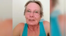 Defesa civil da cidade investiga a origem do enxame que atacou a idosa