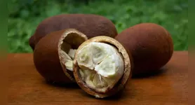 Imagem ilustrativa da notícia 5 frutas regionais da safra para economizar e cuidar da saúde