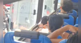 Cachorro é flagrado dentro de ônibus ao lado da tutora e recebe água durante trajeto em Belém