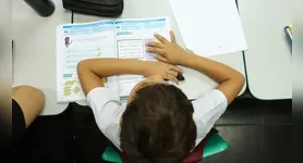 Resultados preliminares do Censo Escolar 2026 já podem ser conferidos no site do Inep; gestores têm 30 dias para corrigir informações.