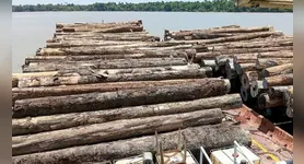 Cerca de 700 metros cúbicos de madeira em tora foram apreendidos durante fiscalização no Rio Maiatuaru, em Igarapé-Miri, no nordeste do Pará.
