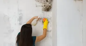 Umidade dentro de casa costuma causar incômodos e até mesmo doenças respiratórias.