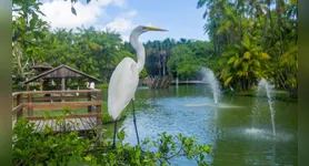 A programação especial une educação ambiental e contato com a fauna de forma lúdica.