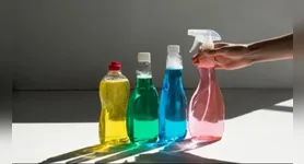 Muitas pessoas acreditam que esses produtos são caros, mas você sabia que algumas misturas caseiras também podem ser utilizadas de forma eficiente?