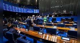 Apesar da aprovação na comissão, a matéria não chegou ao plenário