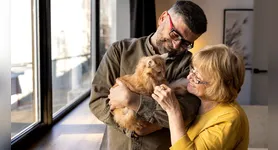 Os pesquisadores apontam que a relação entre a presença de gatos e o bem-estar da população também pode estar associada às condições econômicas de cada país.