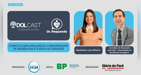 Imagem ilustrativa da notícia Como o clima influencia a proliferação de mosquitos e o risco de doenças