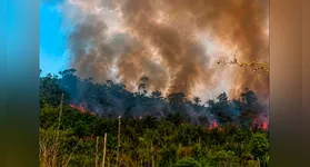 Fumaça encobre vegetação na Terra Indígena Apyterewa, no sul do Pará, onde queimadas ameaçam áreas de floresta densa e aldeias do povo Parakanã.