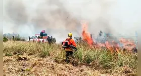 Área de vegetação na Terra Indígena Mãe Maria após ser consumida pelas chamas em Bom Jesus do Tocantins, no sudeste paraense