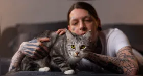 Segundo especialistas, a pessoa favorita de um gato nem sempre é quem oferece mais carinho, mas quem respeita seus limites, entende seus sinais e permite que ele escolha quando quer se aproximar.